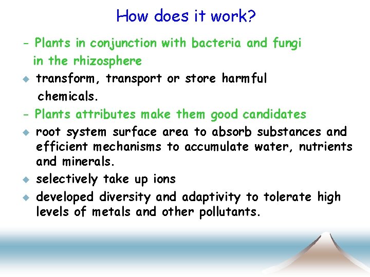 How does it work? - Plants in conjunction with bacteria and fungi in the