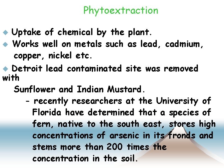 Phytoextraction u u Uptake of chemical by the plant. Works well on metals such