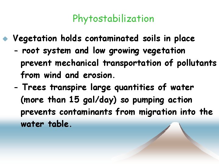 Phytostabilization u Vegetation holds contaminated soils in place - root system and low growing