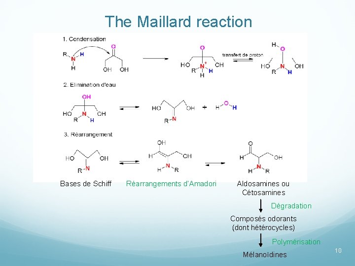 The Maillard reaction Bases de Schiff Réarrangements d’Amadori Aldosamines ou Cétosamines Dégradation Composés odorants