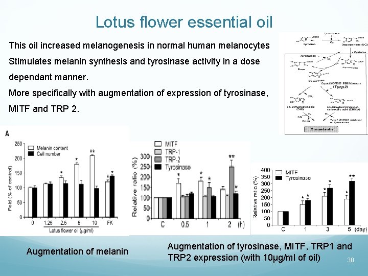 Lotus flower essential oil This oil increased melanogenesis in normal human melanocytes Stimulates melanin