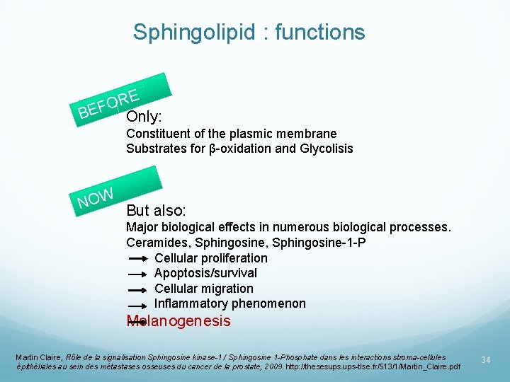 Sphingolipid : functions RE O F BE Only: Constituent of the plasmic membrane Substrates