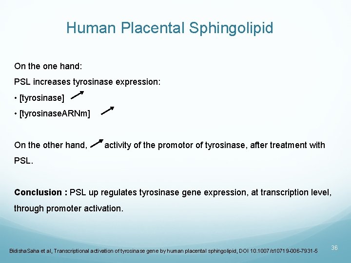 Human Placental Sphingolipid On the one hand: PSL increases tyrosinase expression: • [tyrosinase] •