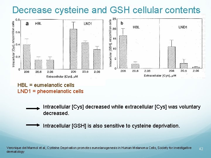 Decrease cysteine and GSH cellular contents HBL = eumelanotic cells LND 1 = pheomelanotic