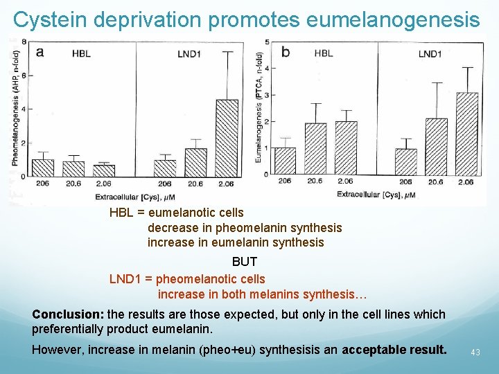 Cystein deprivation promotes eumelanogenesis HBL = eumelanotic cells decrease in pheomelanin synthesis increase in