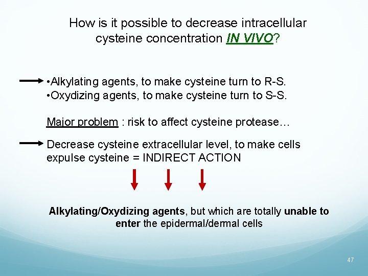 How is it possible to decrease intracellular cysteine concentration IN VIVO? • Alkylating agents,
