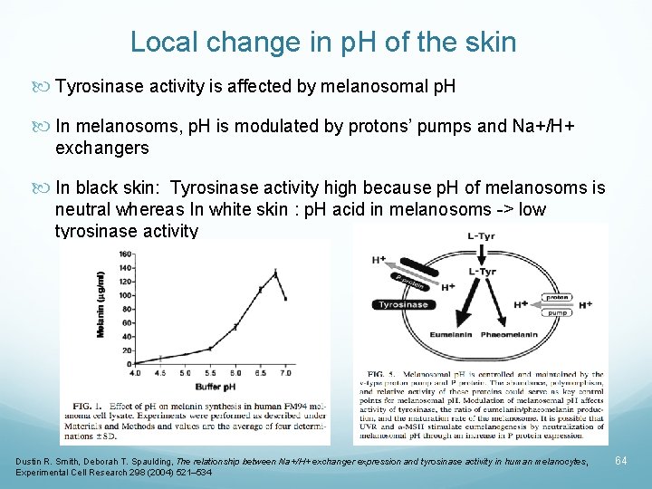 Local change in p. H of the skin Tyrosinase activity is affected by melanosomal