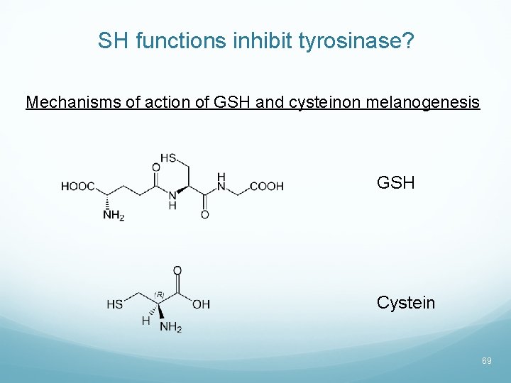SH functions inhibit tyrosinase? Mechanisms of action of GSH and cysteinon melanogenesis GSH Cystein