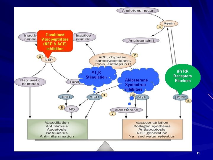 Combined Vasopeptidase (NEP & ACE) inhibition AT 2 R Stimulation Aldosterone Synthetase inhibitors (P)