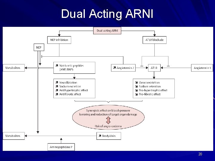 Dual Acting ARNI 20 