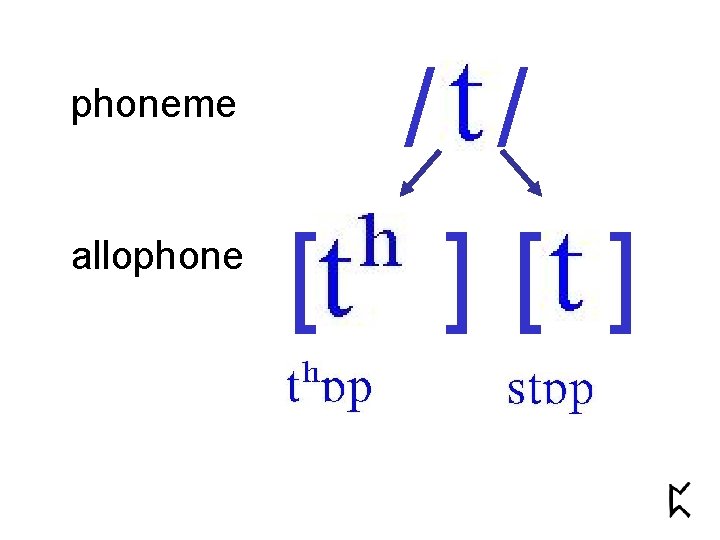 phoneme allophone / / [ ][ ] 
