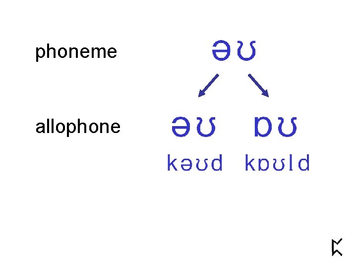 phoneme allophone 