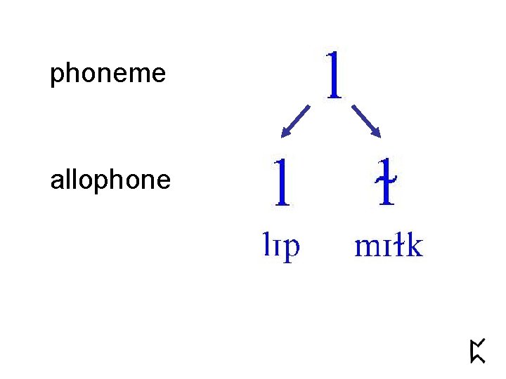 phoneme allophone 