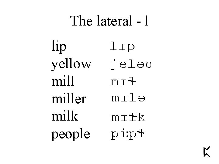 The lateral - l lip yellow miller milk people 