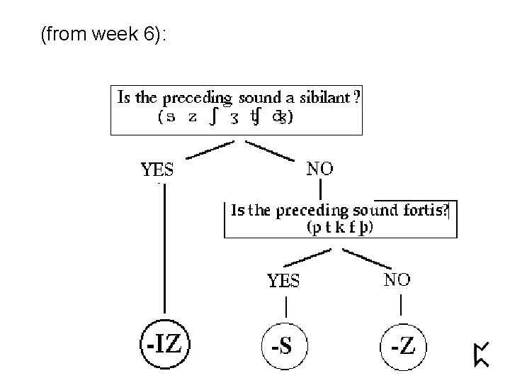 (from week 6): 