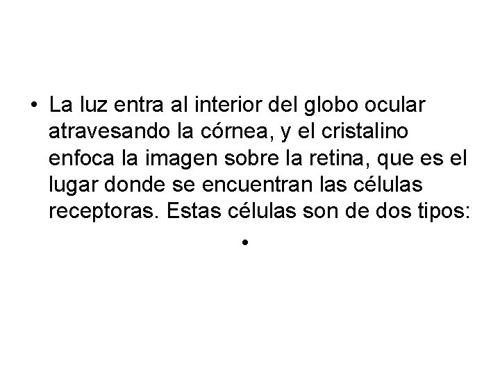  • La luz entra al interior del globo ocular atravesando la córnea, y