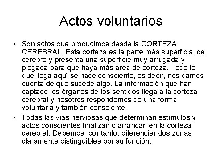 Actos voluntarios • Son actos que producimos desde la CORTEZA CEREBRAL. Esta corteza es