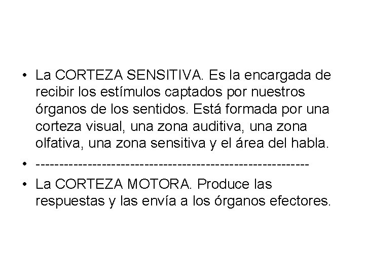  • La CORTEZA SENSITIVA. Es la encargada de recibir los estímulos captados por