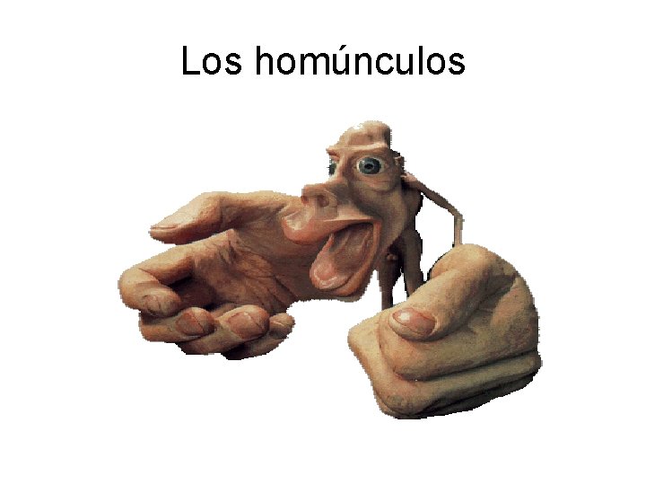 Los homúnculos 