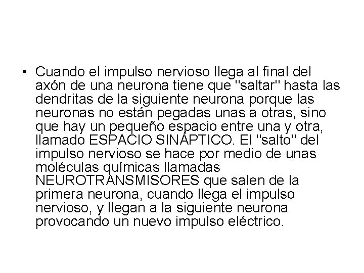  • Cuando el impulso nervioso llega al final del axón de una neurona