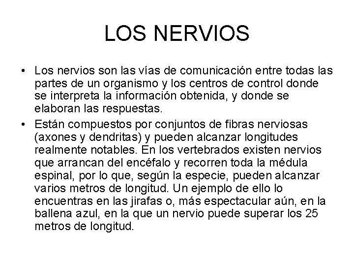 LOS NERVIOS • Los nervios son las vías de comunicación entre todas las partes