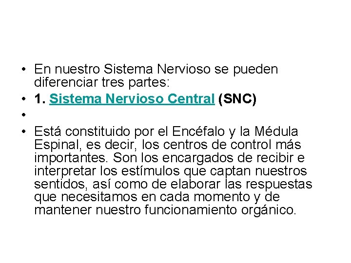  • En nuestro Sistema Nervioso se pueden diferenciar tres partes: • 1. Sistema