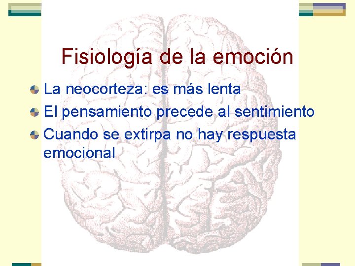 Fisiología de la emoción La neocorteza: es más lenta El pensamiento precede al sentimiento