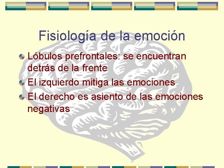 Fisiología de la emoción Lóbulos prefrontales: se encuentran detrás de la frente El izquierdo