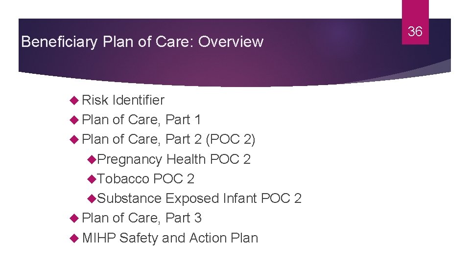 Beneficiary Plan of Care: Overview Risk Identifier Plan of Care, Part 1 Plan of
