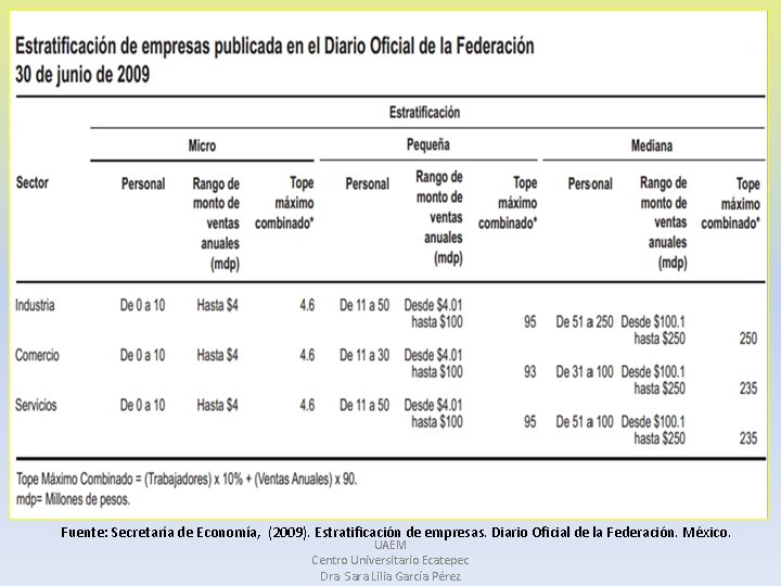 Fuente: Secretaría de Economía, (2009). Estratificación de empresas. Diario Oficial de la Federación. México.