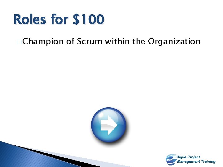 Roles for $100 � Champion of Scrum within the Organization 13 13 