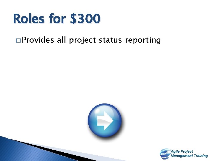 Roles for $300 � Provides all project status reporting 17 17 