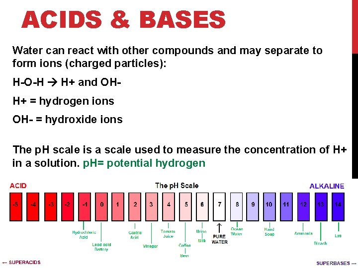 ACIDS & BASES Water can react with other compounds and may separate to form