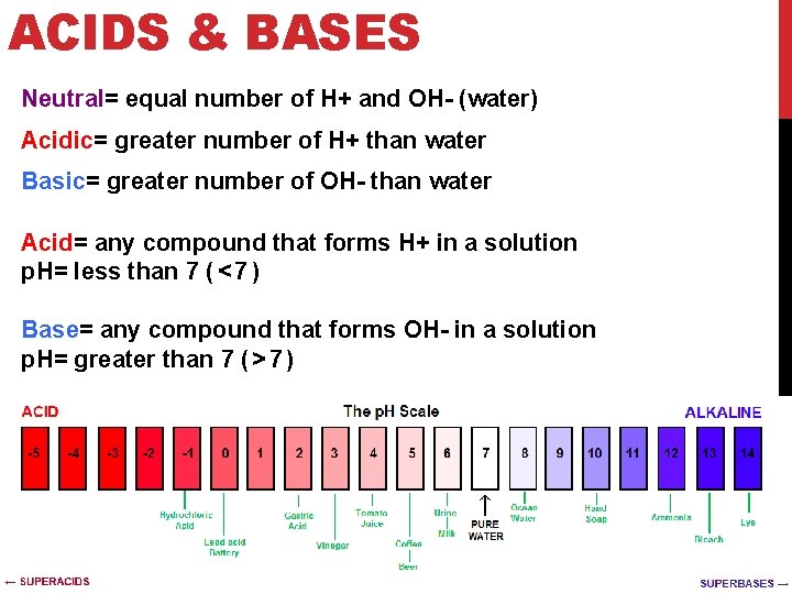 ACIDS & BASES Neutral= equal number of H+ and OH- (water) Acidic= greater number