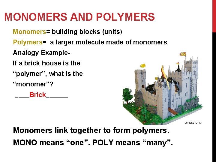 MONOMERS AND POLYMERS Monomers= building blocks (units) Polymers= a larger molecule made of monomers