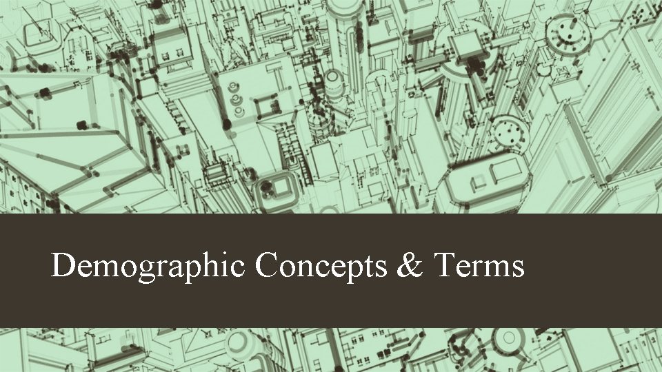 Demographic Concepts & Terms 