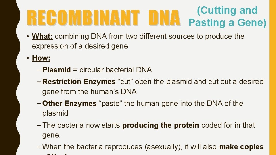 RECOMBINANT DNA (Cutting and Pasting a Gene) • What: combining DNA from two different