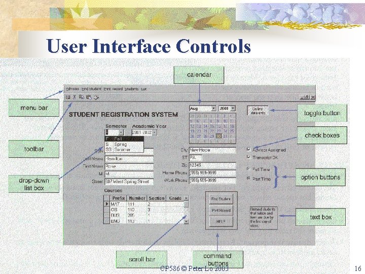 User Interface Controls CP 586 © Peter Lo 2003 16 