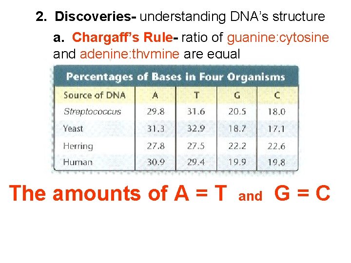 2. Discoveries- understanding DNA’s structure a. Chargaff’s Rule- ratio of guanine: cytosine and adenine: