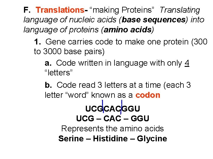 F. Translations “making Proteins” Translating language of nucleic acids (base sequences) into language of