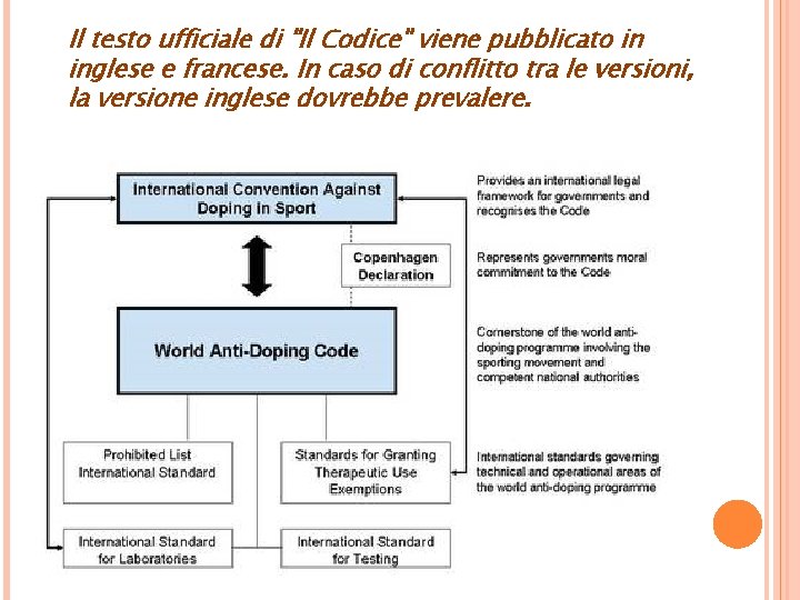 Il testo ufficiale di "Il Codice" viene pubblicato in inglese e francese. In caso