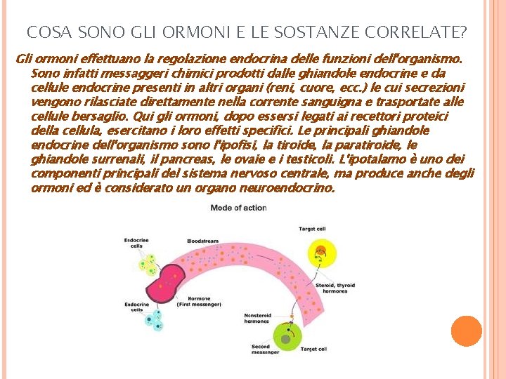 COSA SONO GLI ORMONI E LE SOSTANZE CORRELATE? Gli ormoni effettuano la regolazione endocrina