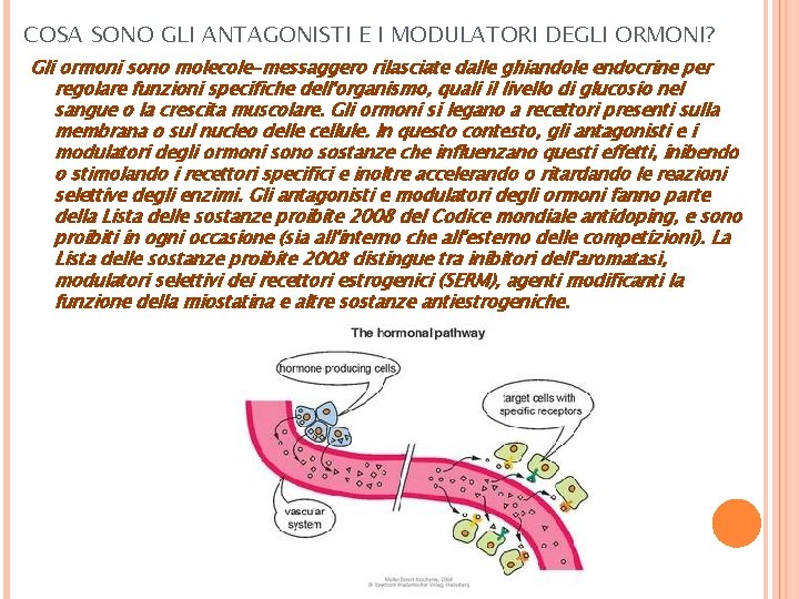 COSA SONO GLI ANTAGONISTI E I MODULATORI DEGLI ORMONI? Gli ormoni sono molecole-messaggero rilasciate
