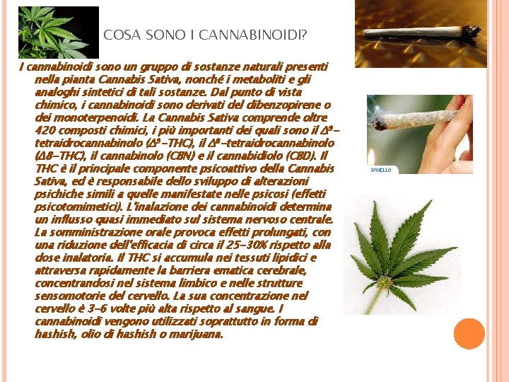 COSA SONO I CANNABINOIDI? I cannabinoidi sono un gruppo di sostanze naturali presenti nella