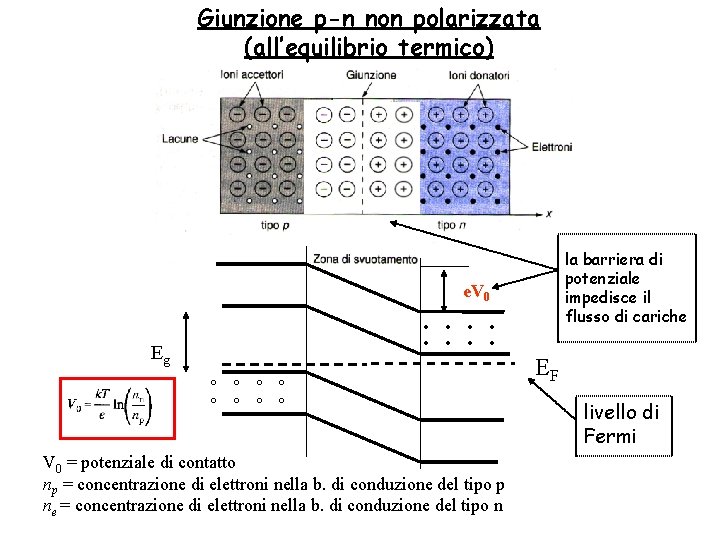 Giunzione p-n non polarizzata (all’equilibrio termico) la barriera di potenziale impedisce il flusso di