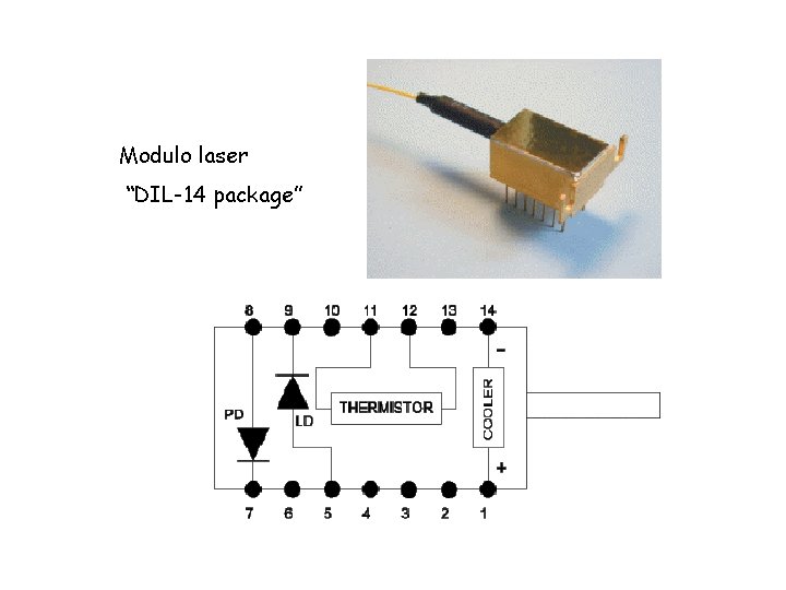 Modulo laser “DIL-14 package” 