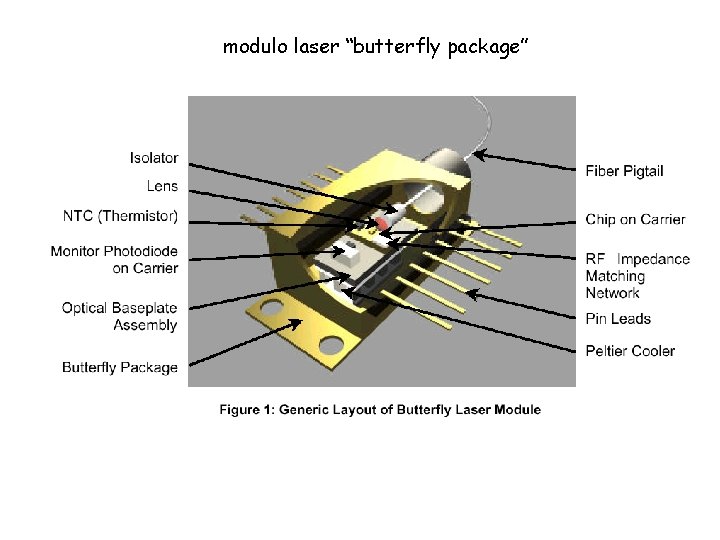 modulo laser “butterfly package” 