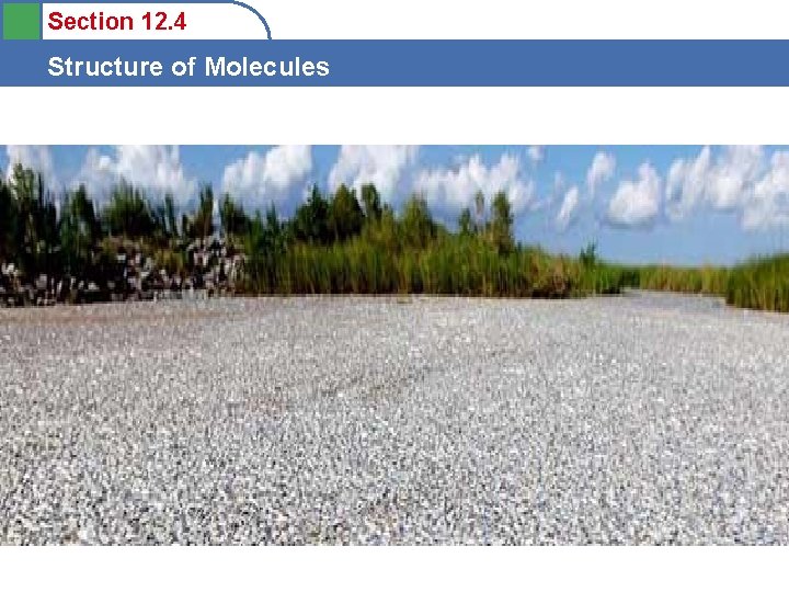 Section 12. 4 Structure of Molecules 