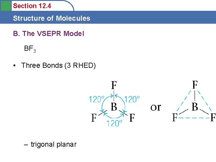 Section 12. 4 Structure of Molecules B. The VSEPR Model BF 3 • Three