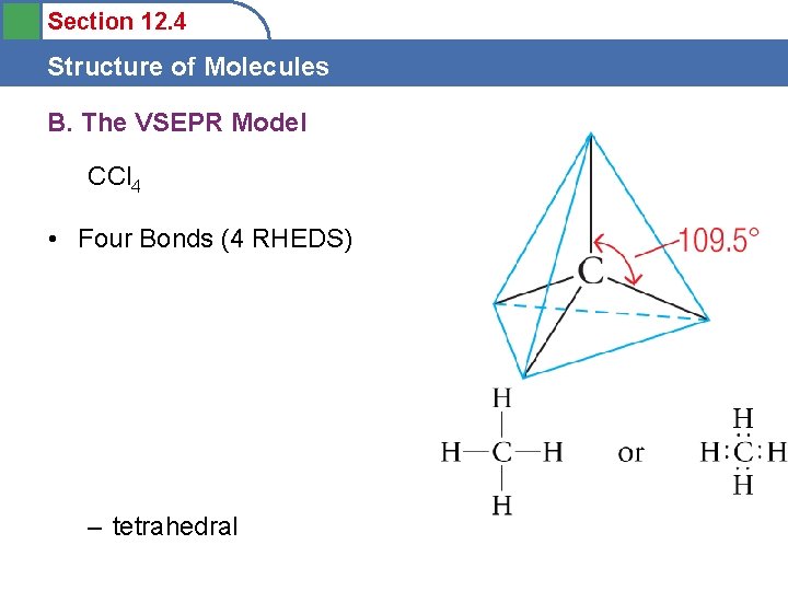 Section 12. 4 Structure of Molecules B. The VSEPR Model CCl 4 • Four